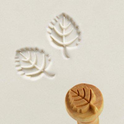 MKM MEDIUM STAMP - BEECH LEAF (SCM-060)